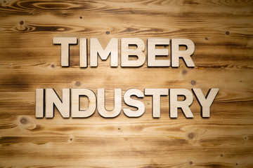 WOOD INDUSTRY words made of wooden block letters on wooden board, top view.