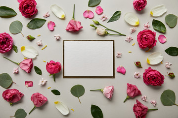 top view of blank white card with pink roses and petals isolated on grey