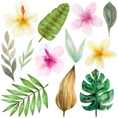 Set of tropical flowers and green palm leaves. Exotic and jungle trendy style. Hand drawn watercolor illustration. Exotic hawaiian summer clipart for print, printing on paper, fabric.Isolated on white