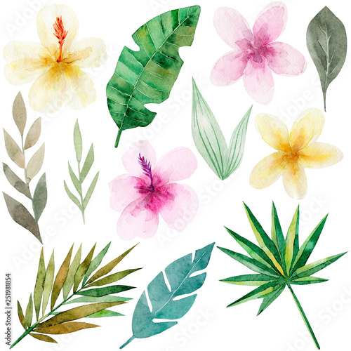 Set of tropical flowers and green palm leaves. Exotic and jungle trendy style. Hand drawn watercolor illustration. Exotic hawaiian summer clipart for print, printing on paper, fabric.Isolated on white