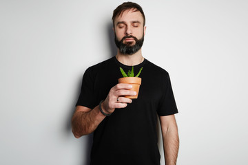 Bearded man in black tshirt holding cactus on the empty white background.