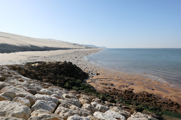 Fototapeta na wymiar Panorama Dune du pyla in pilat sea coast in arcachon bay in south west France