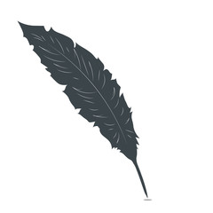 Feather. Vector Illustration.