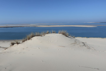 Dune of Pilat in Pyla Arcachon in south west France is the largest sandy desert in Europe
