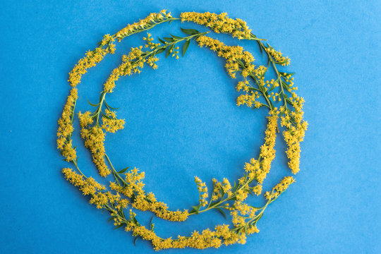 Summer yellow wild flowers on blue background. Springtime floral