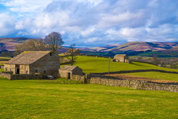 Obraz premium Swaledale, North Yorkshire. Swaledale is known for small stone wall surrounded fields with stone barns and Swaledale Sheep. Swaledale is part of the North Yorkshire dales.