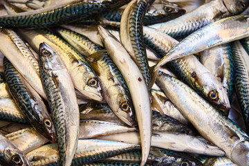 A pile of beautiful small fishes on a counter