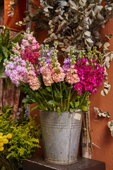 Fototapeta na wymiar Flowers on the bucket in the market 