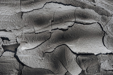 dried cracked wasteland surface, global warming concept