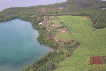 Aerial view at seaside mangroves and sugarcane fields on Guadeloupe island, France