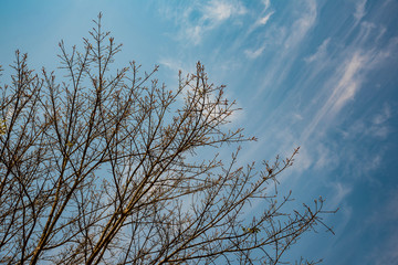 a Beautiful spring day