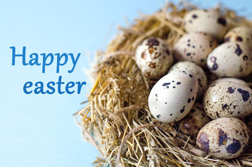 Obraz premium Many quail eggs in a nest of straw on a blue background.