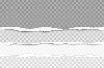 Set of torn squared horizontal paper are on white background with space for text. Vector illustration