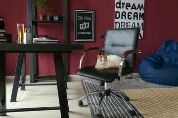 Cute cat sitting in armchair in interior of room