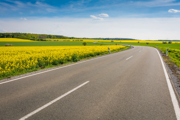 Landstraße mit Rapsfeld im Sommer