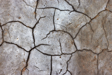 Dry cracked earth in the salt marshes (alkali soils)