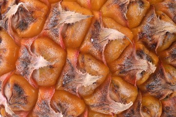 Ananas en gros plan 