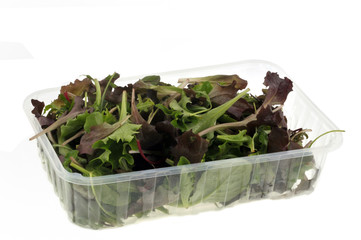 Barquette en plastique de mélange de salades 