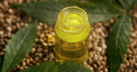 Macro close up of biological and ecological hemp plant with a jar of herbal pharmaceutical cbd oil.