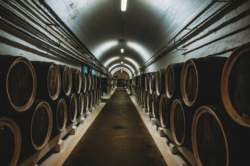 Wine cellar with rows of old wooden wine barrels, perspective