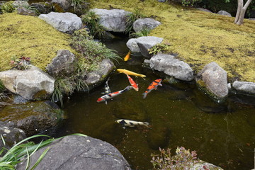 A scene of the Japanese culture, Japanese style garden.