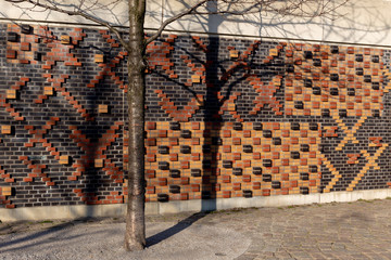 Tree shadow in front of decorative wall