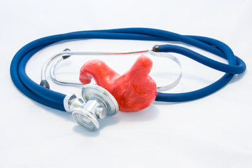Blue stethoscope encircles stomach shape on white background. Idea of photo diagnosis, prevention...
