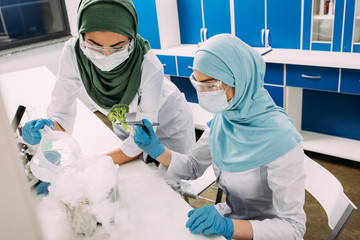 female muslim scientists experimenting with dry ice and broccoli in chemical laboratory