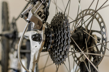 Master repairs bicycle in bicycle repair shop