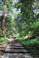 太平山の遊歩道