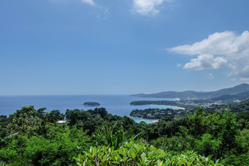 Forest beach