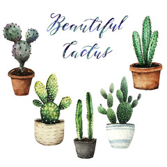 Watercolor illustration, cactus in pots, set, white background, postcard for you, handmade