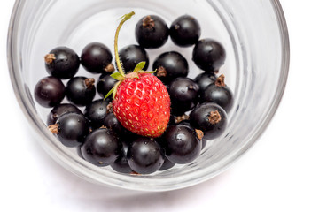 Currant and strawberries in  glass cup closeup on a white isolated background_