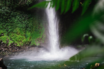 Cascade Arenal