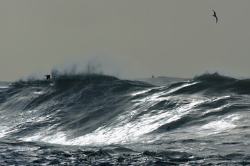 snapshot of a wave breaking in the sea