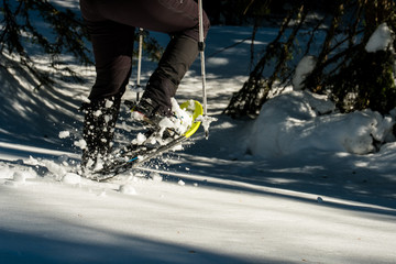 Nahaufnahme vom Schneeschuh wandern im tief verschneiten Wald in den österreichischen Bergen