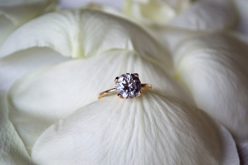Wedding ring on white petals of roses.