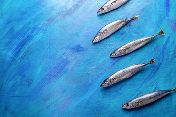 Mackerel fishes as if floating diagonally top to bottom on blue background. 