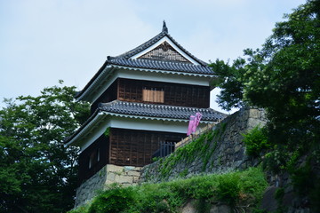 Fototapeta na wymiar 長野県の上田城