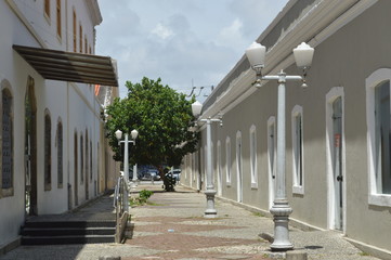 Rua singela