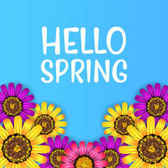 Hello Spring poster background with colorful beauty flower blossom from top view
