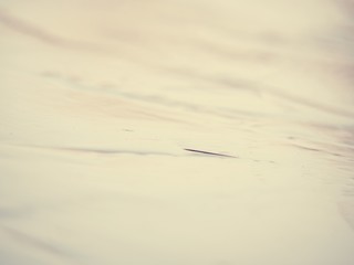 Nice reflections and flare in mirroring thin ice