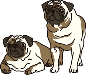 Perro