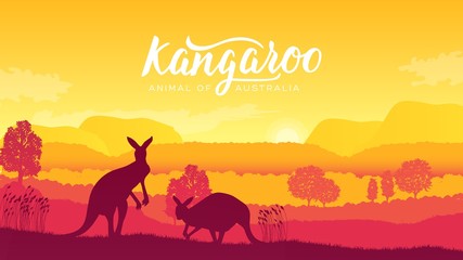 Australia kangaroo on landscape nature background. Wild animals in their natural habitat. Sunrise vector illustration