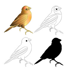 Small bird Thrush  silhouette and outline nature  on a white background vintage vector illustration editable hand draw