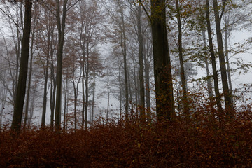 Jesień 2018 w Beskidach