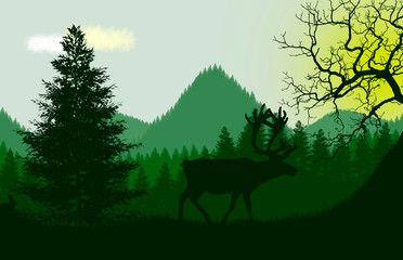 deer in the green forest