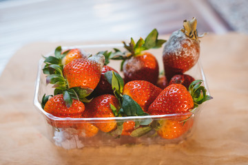 Moldy strawberries in plastic box
