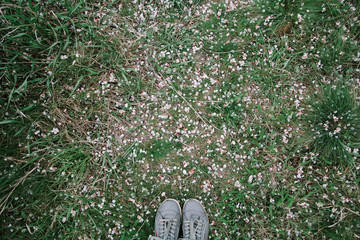 Feet of a girl in gray sneakers against the background of grass and fallen petals of the apple tree. View from above