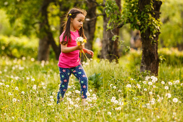 Naklejka na ściany i meble Little girl with long blond hair standing in the field with bouquet of flowers in her hands at beautiful summer sunny day